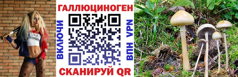 Псилоцибиновые грибы ЛСД  Омутнинск 